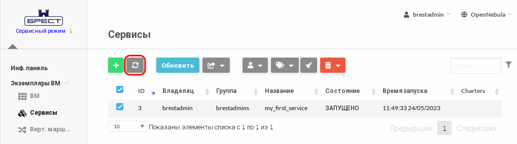 ../../../../_images/service-instantiate_new-running.png