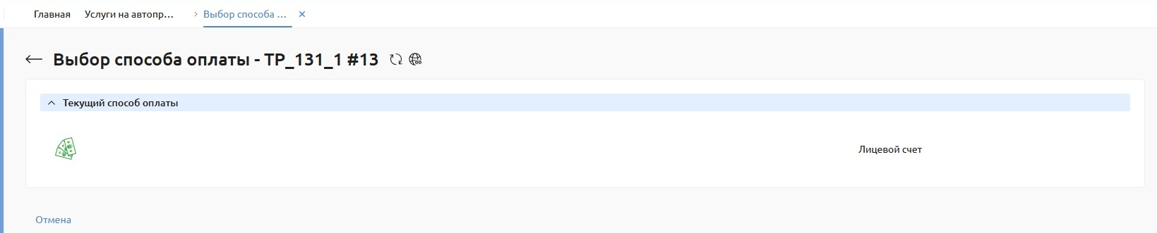../../_images/auto_payment_way_whot.png