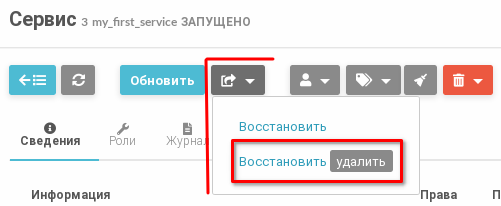 ../../../../_images/service-button_recover_delete.png